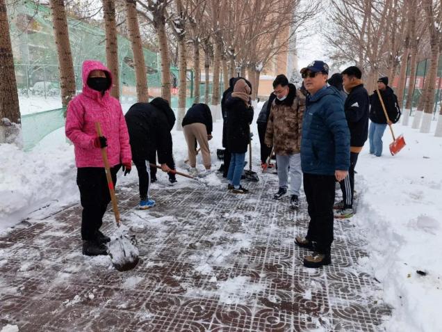 【我为师生办实事】保障师生出行安全 除雪工作进行中